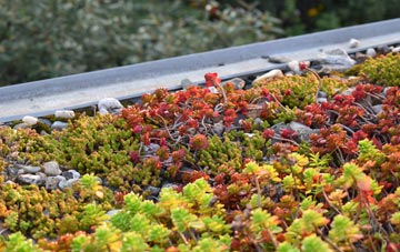 the cost of Breaden Heath green roof installation