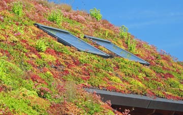 Breaden Heath living roof systems